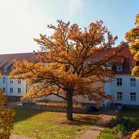 Parkresidenz Lychen, Ferienwohnung 8 Luaran gambar