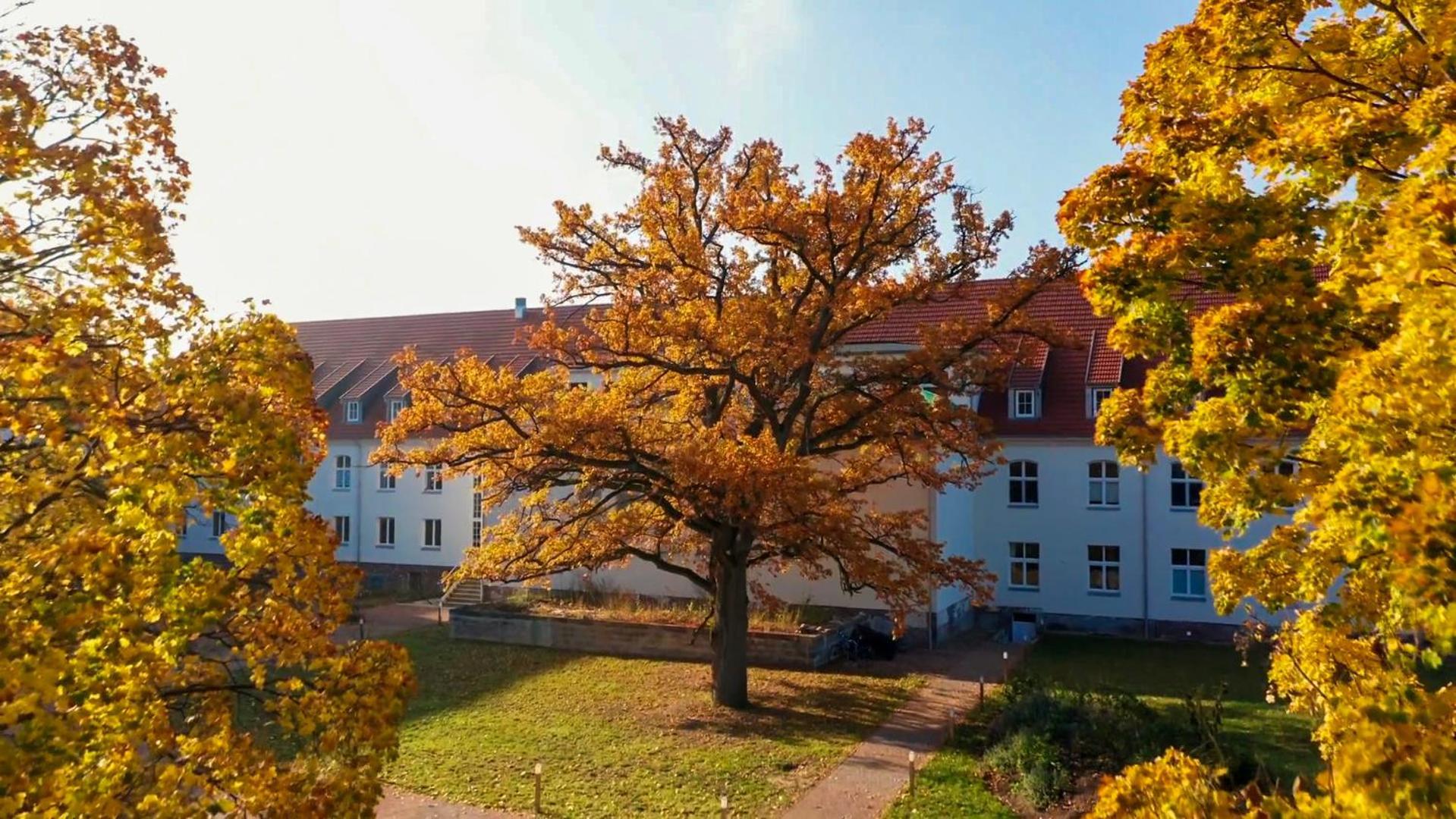 Parkresidenz Lychen, Ferienwohnung 8 Luaran gambar