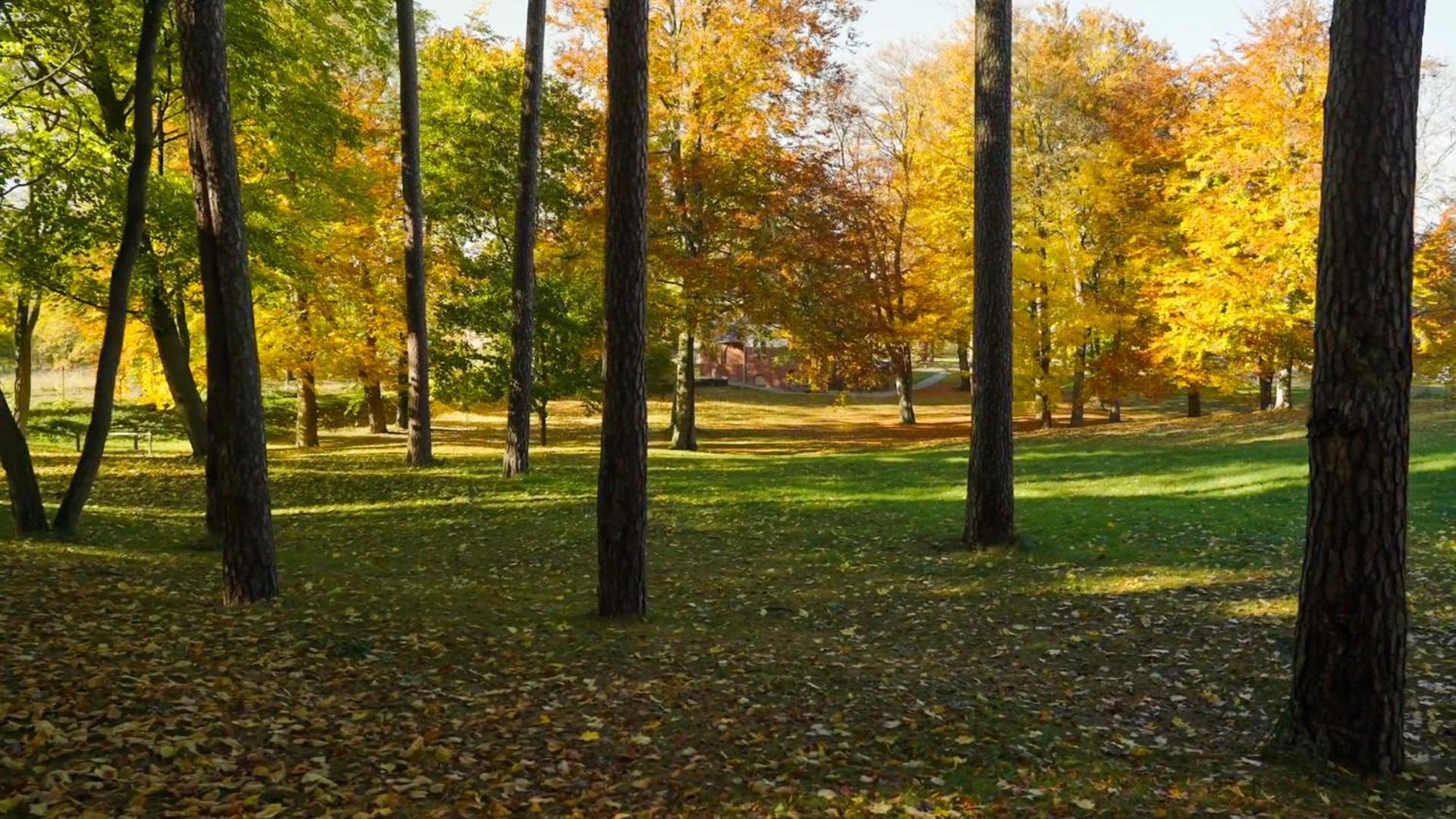 Parkresidenz Lychen, Ferienwohnung 8 Luaran gambar